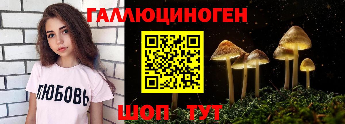 Псилоцибиновые грибы Cubensis Богданович